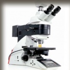 Семинар «Микроскопия в учебном процессе и научно-исследовательской деятельности»