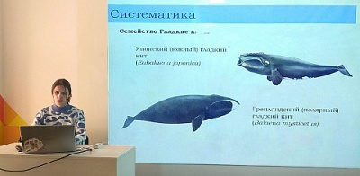 В Точке Кипения ЯрГУ провели научный семинар в честь Всемирного дня защиты морских млекопитающих