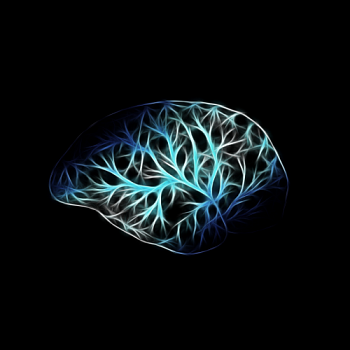 ТАСС сообщает: Ярославские ученые создадут новые математические модели активности мозга
